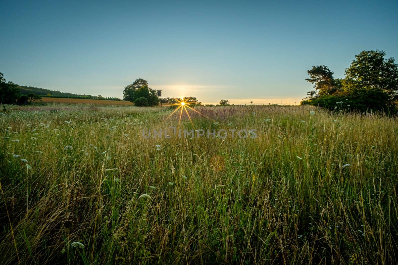 Sunrise with sunstar over a summer meadow landscape