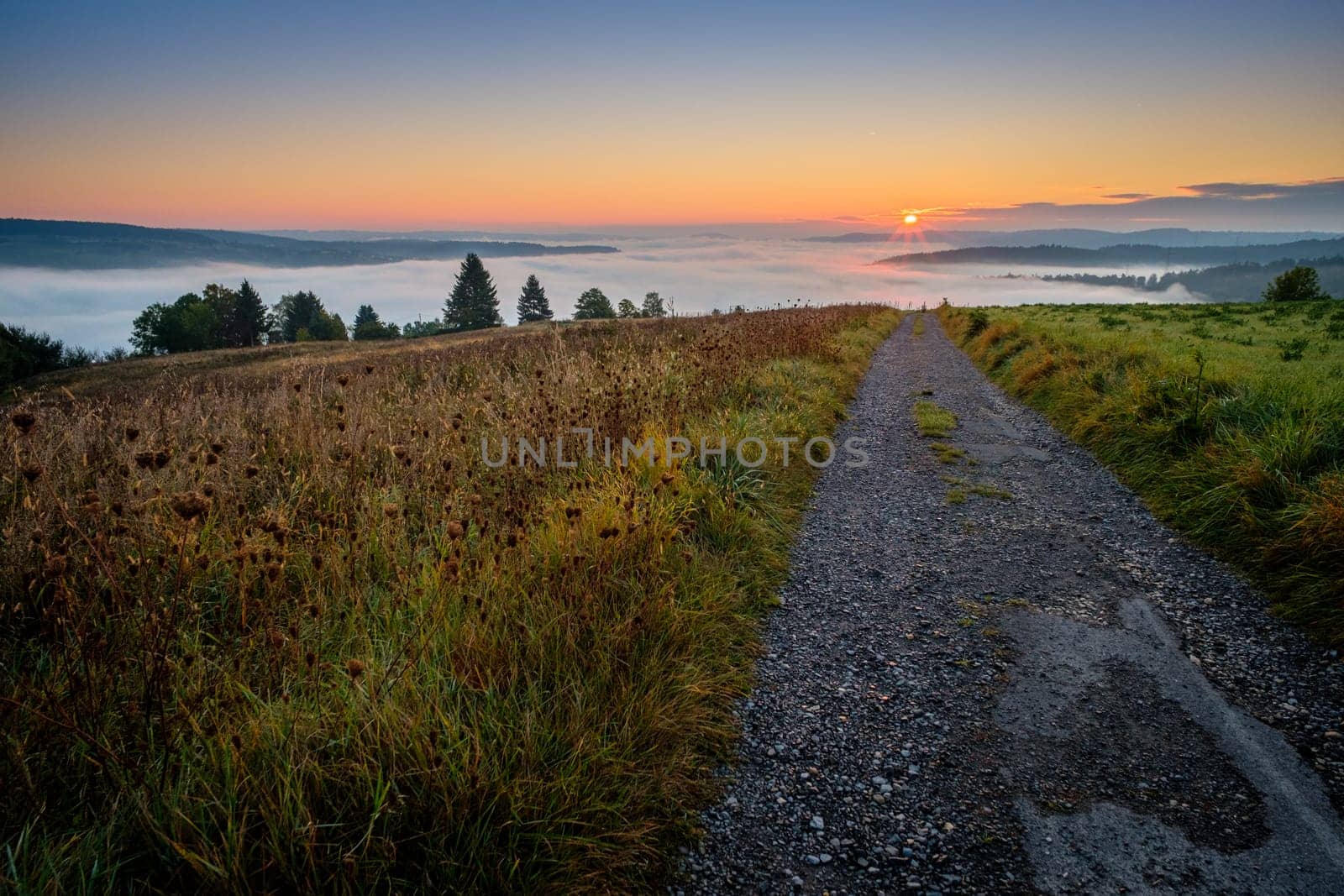 Road meadow landscape with view on misty valley in sunrise scene