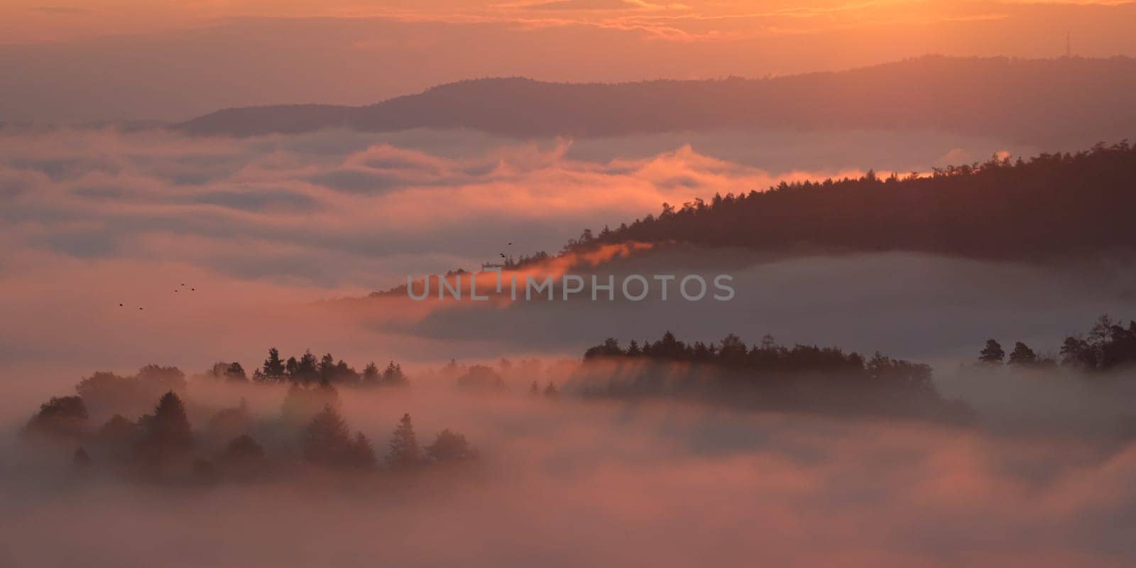 Valley mist landscape in morning sunlight back lit scene