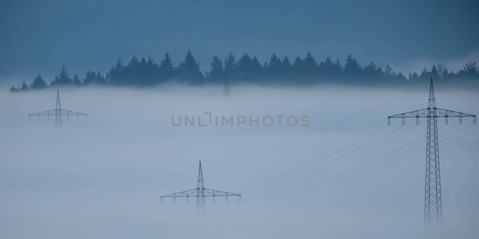 Power poles in dawn fog with forest trees scene