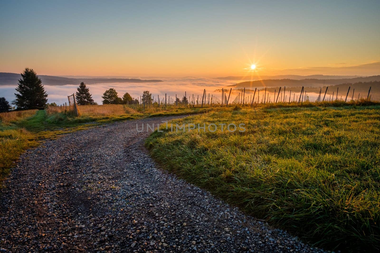 Sunstar of sunrise fiield road and meadow with mist in valley