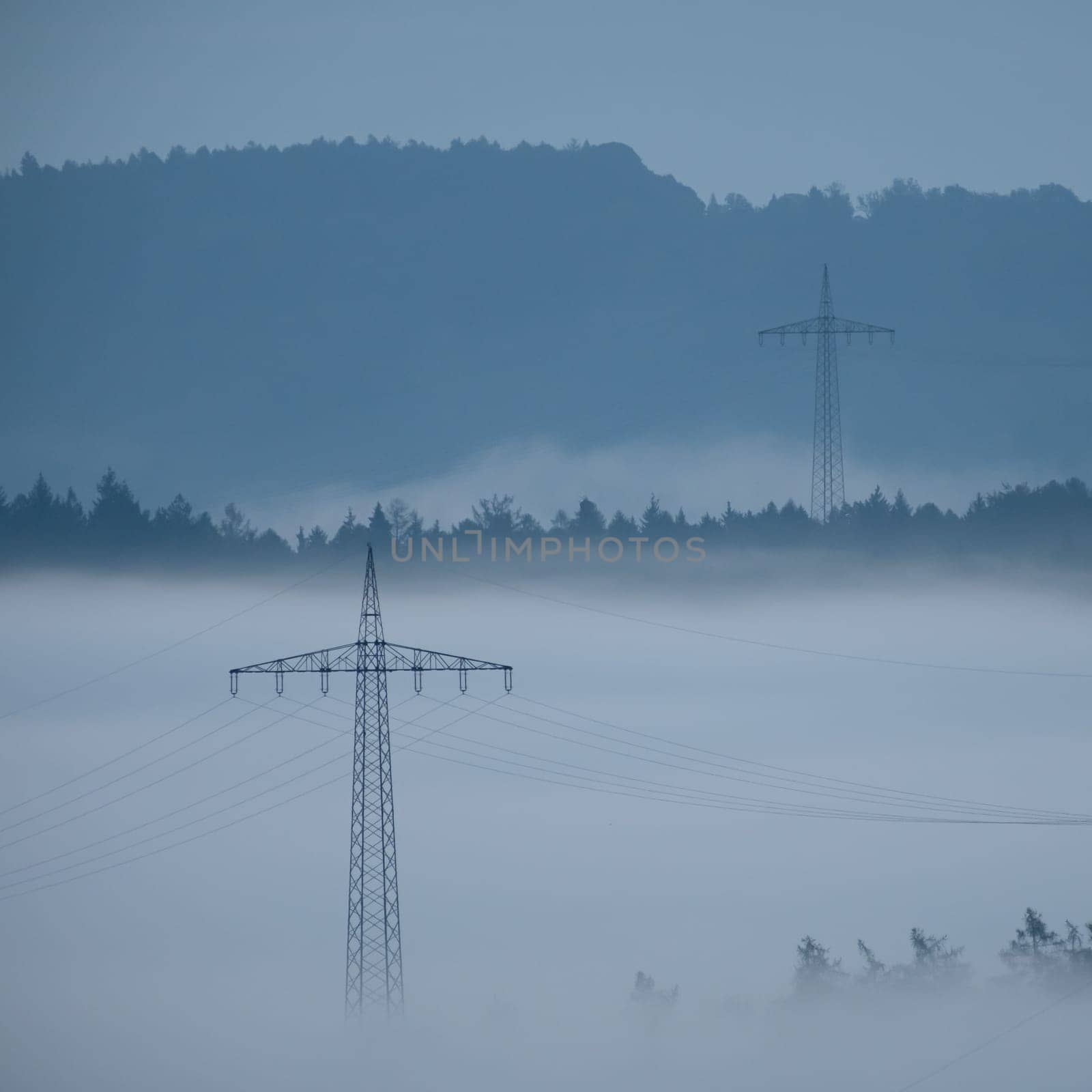 Power Pole in foggy landscape with trees in dawn