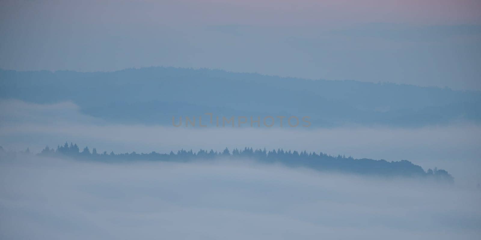 Landscape in dawn and morning fog in autumn mood