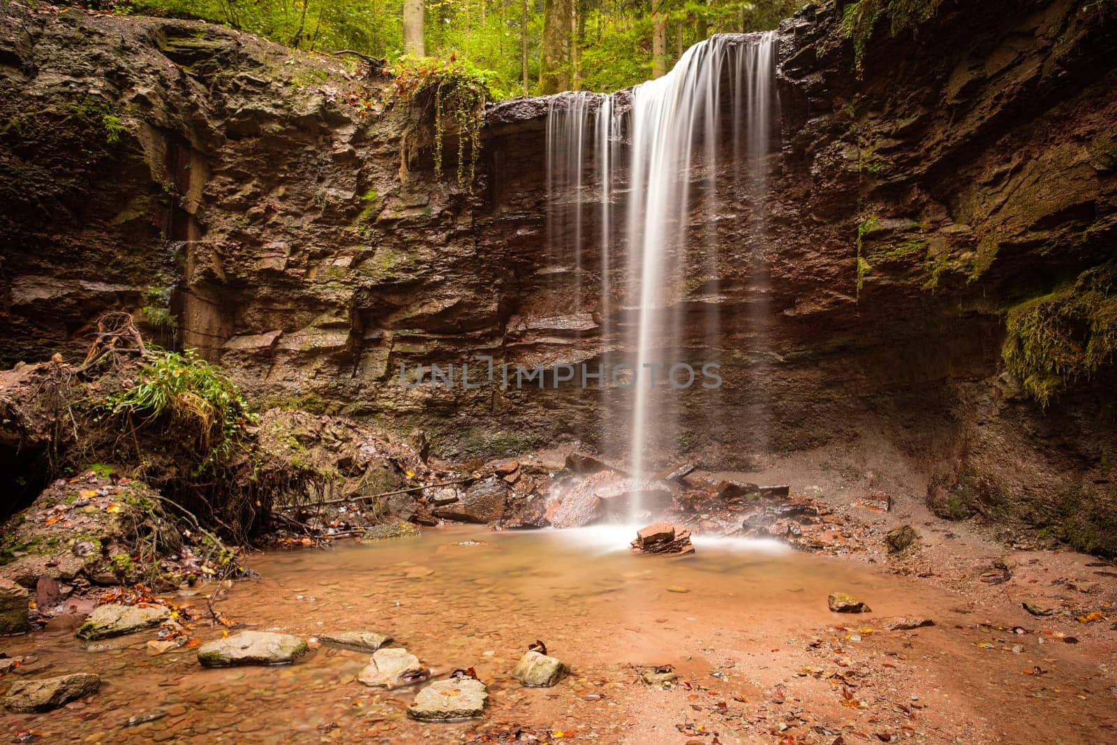 Cascade stream in german forest scenery