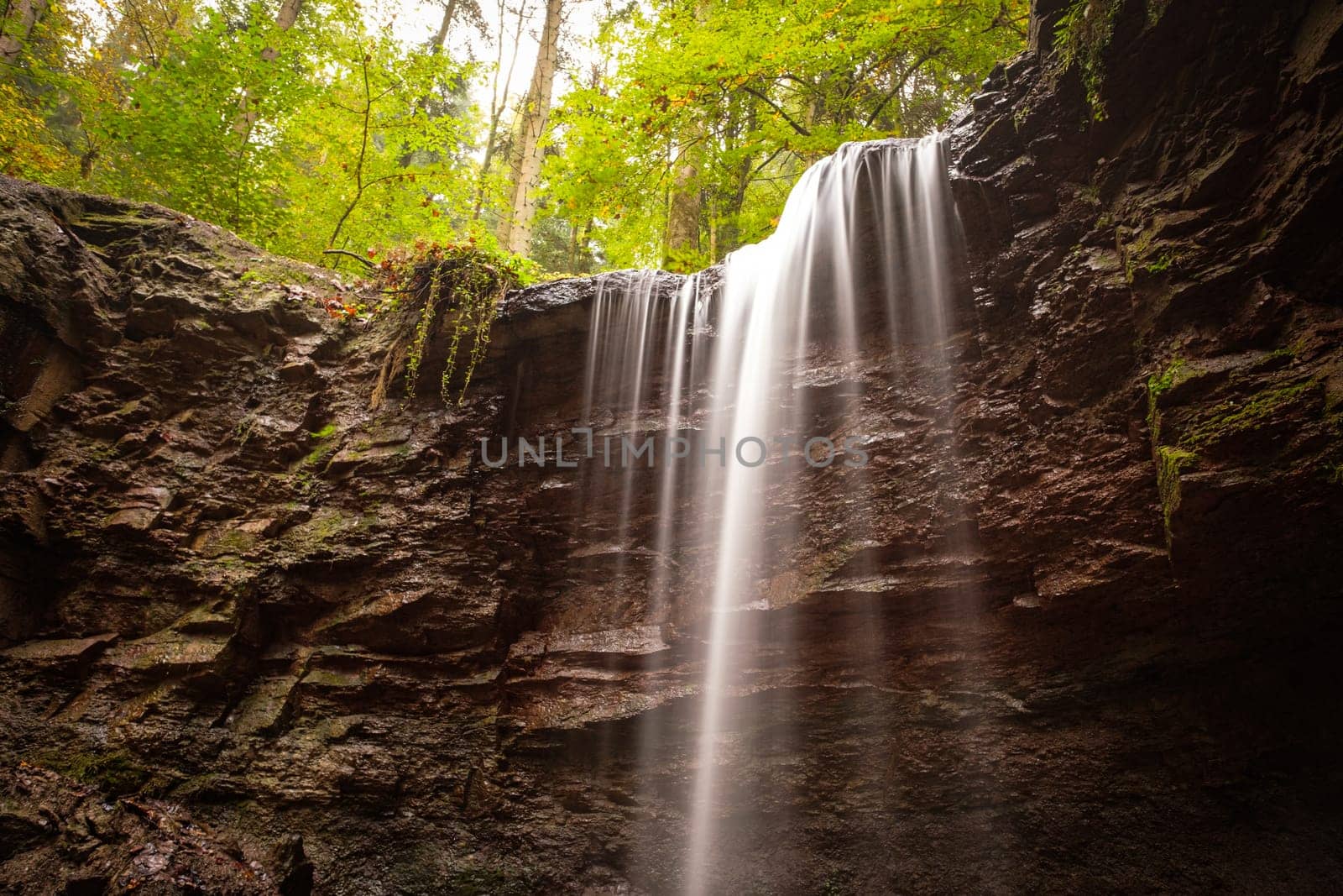 Waterfall cascade is flowing over a rock in a forest