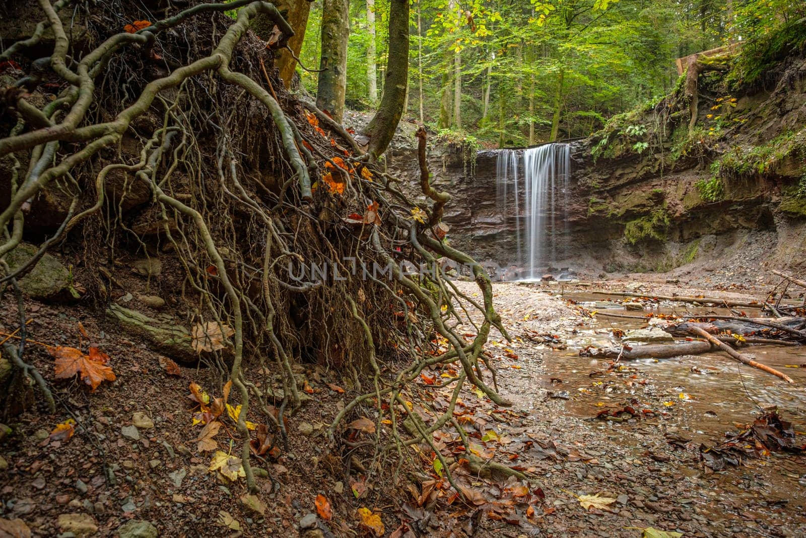 Roots in front of a waterfall cascade in german forest