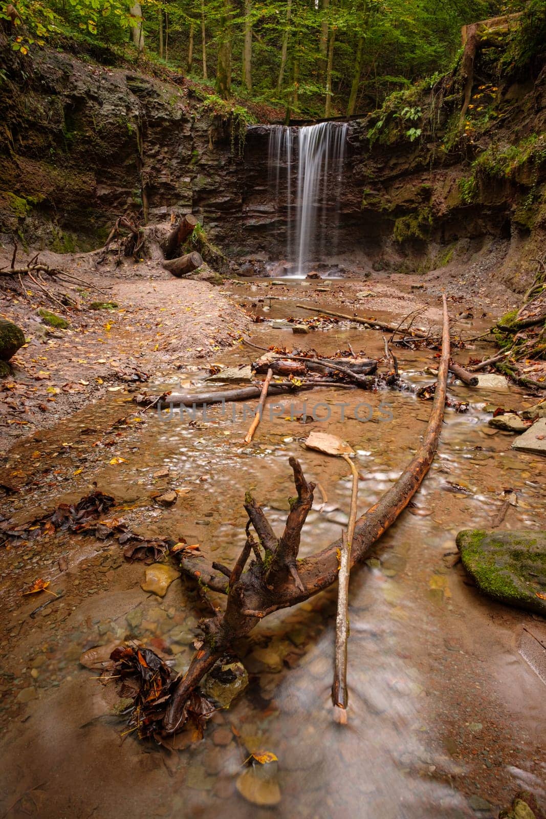 Tree trunk in brooke with waterfall in vertical format