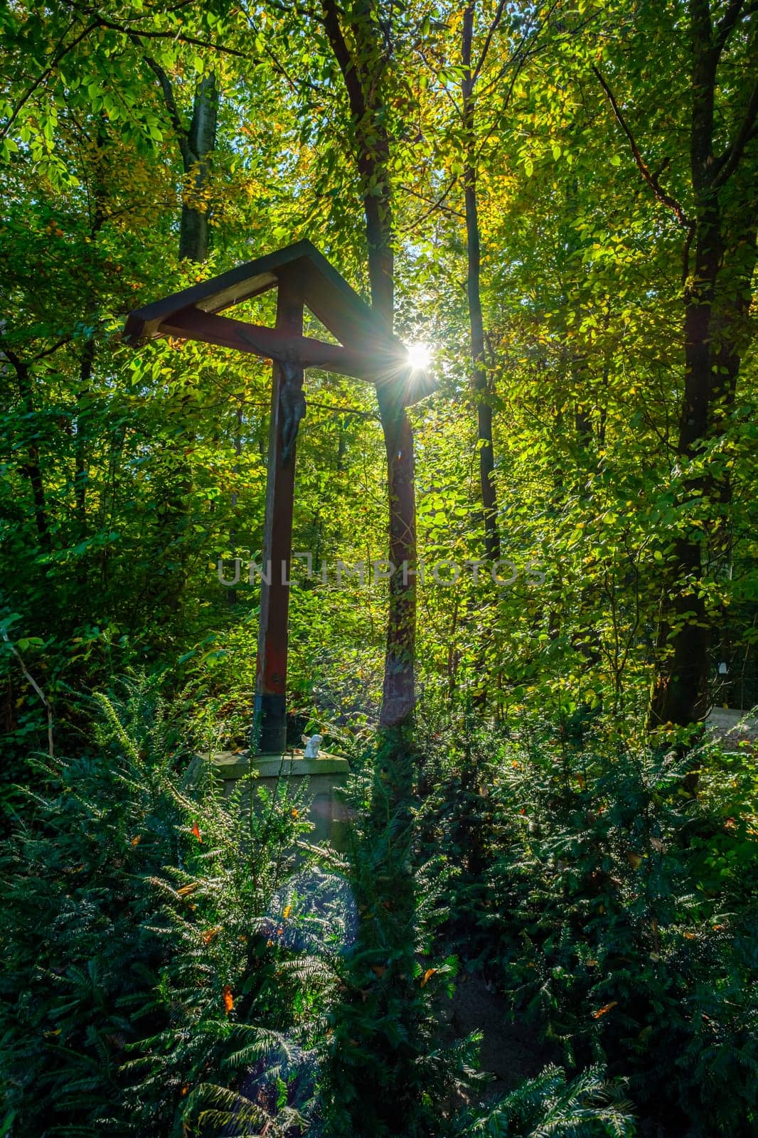 Memorial cross in forest sunlight scenery