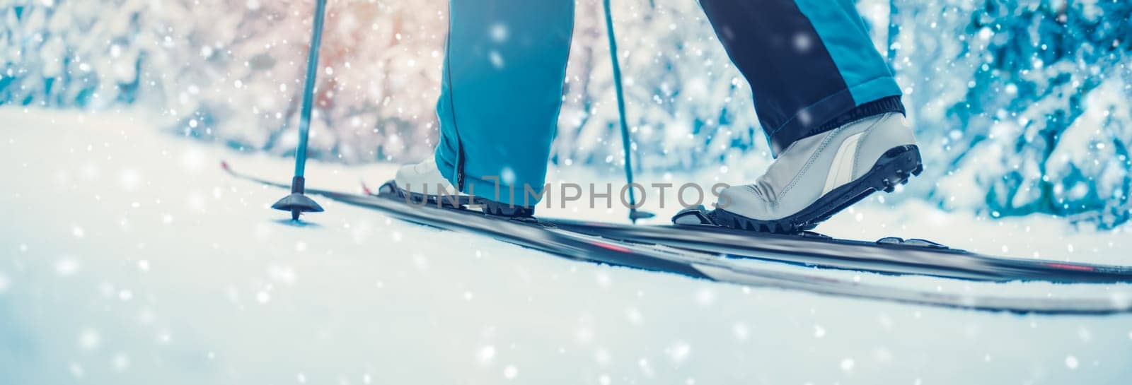 Skier foots in skis in the snowy winter forest. Concept of vacation and weekend.
