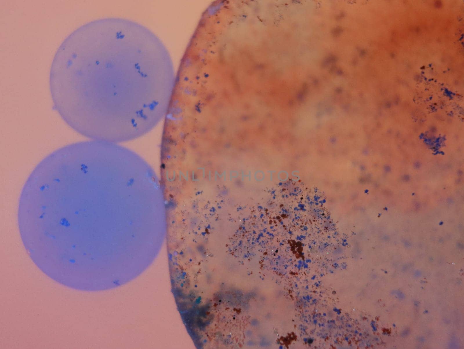 abstract background fantasy illusion rarity imagination virus bacteria sensation
