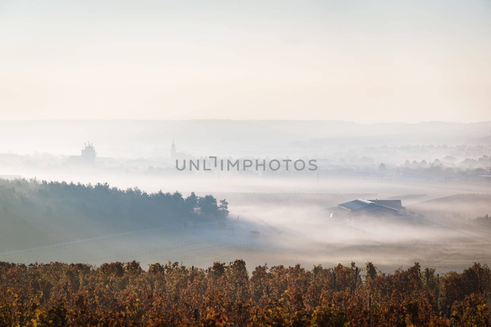 Autumn landscape with fog near village of Horitschon in Burgenland