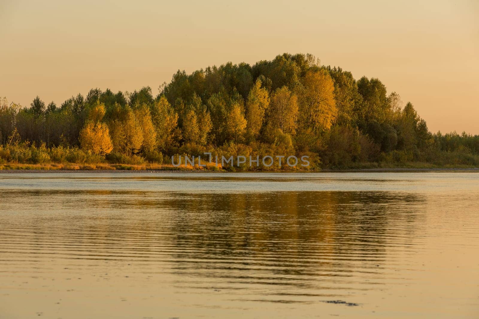 Summer sunset on the river , sunset by the water.