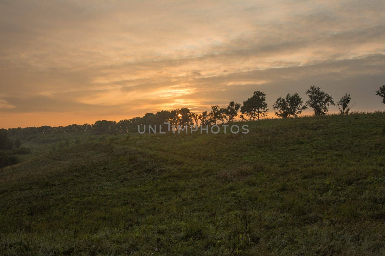 Sunset Or Sunrise In Forest Landscape. Sun Sunshine With Natural Sunlight And Sun Rays Through Woods Trees In Summer Forest. Beautiful Scenic View.