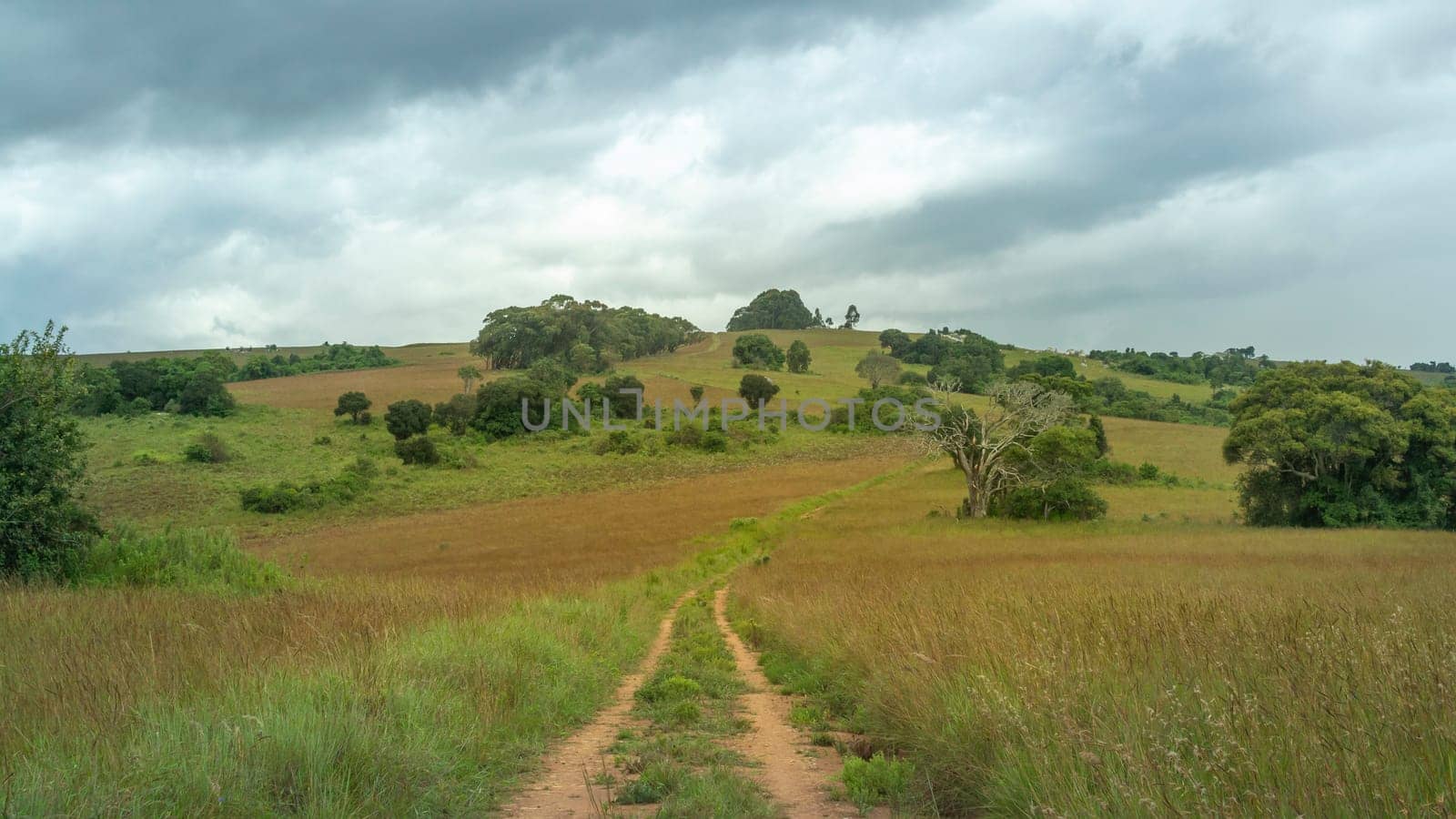 4x4 Off road dirt track in Nyika National park in Malawi, Africa. Travel and tourism.