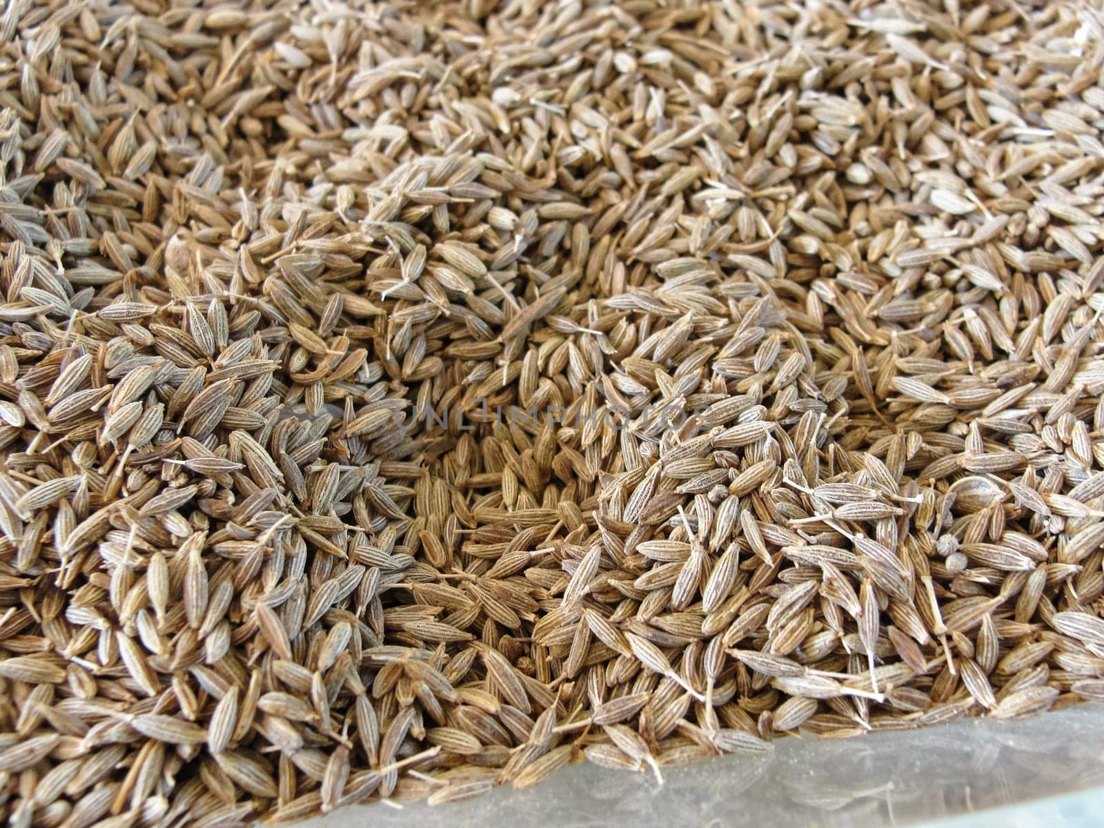 The texture of anise grains on the market in Asia, top view