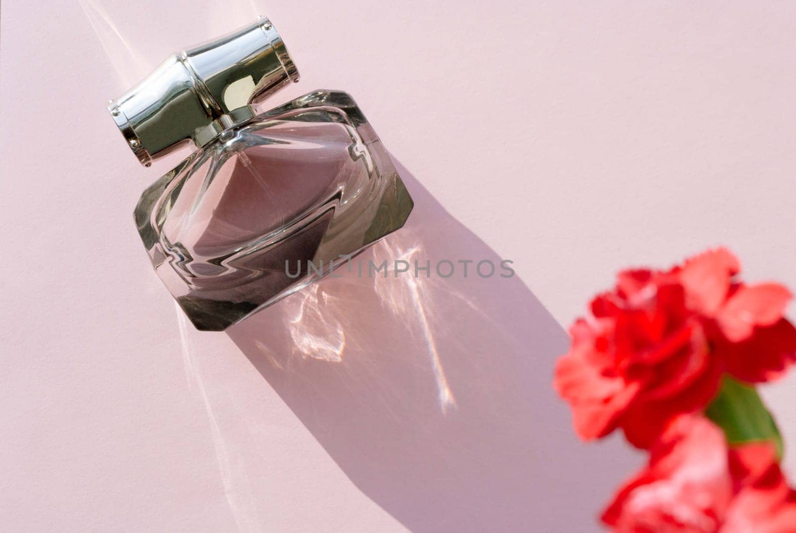 Eau de toilette on a pink background against a blurry red carnation flower. Copy space