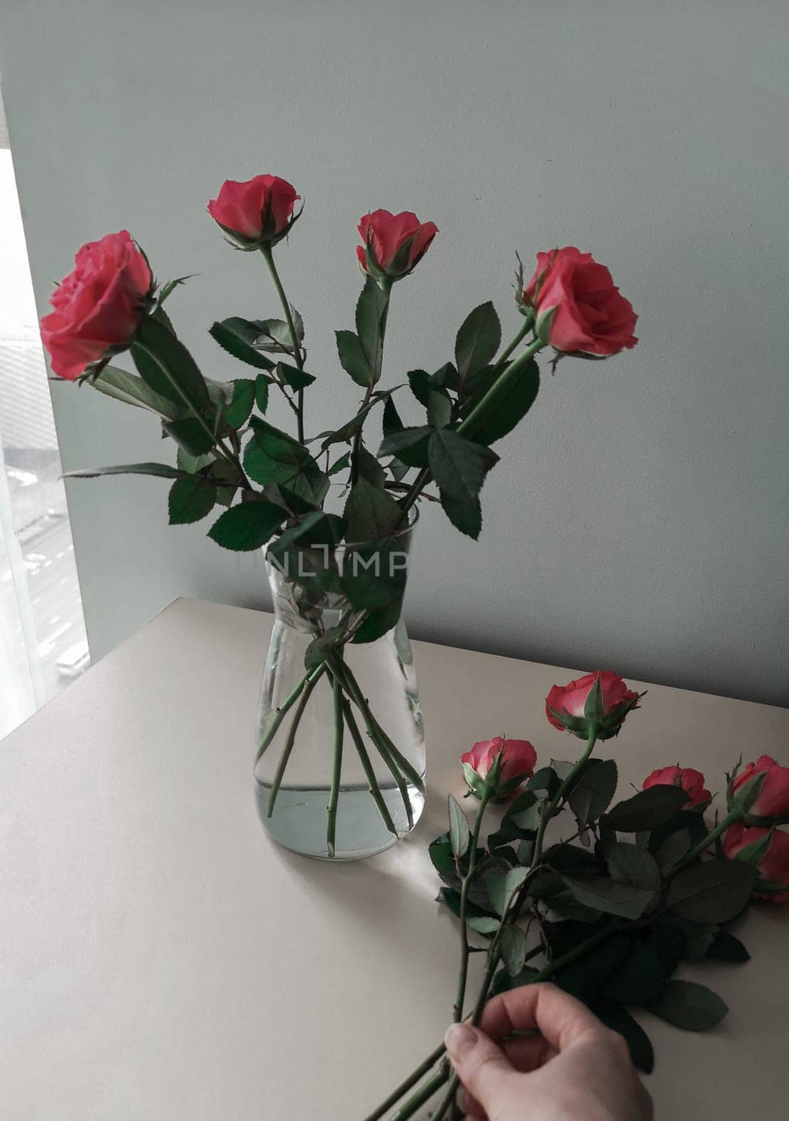 A woman puts roses in a vase of the house on the bright table by the window