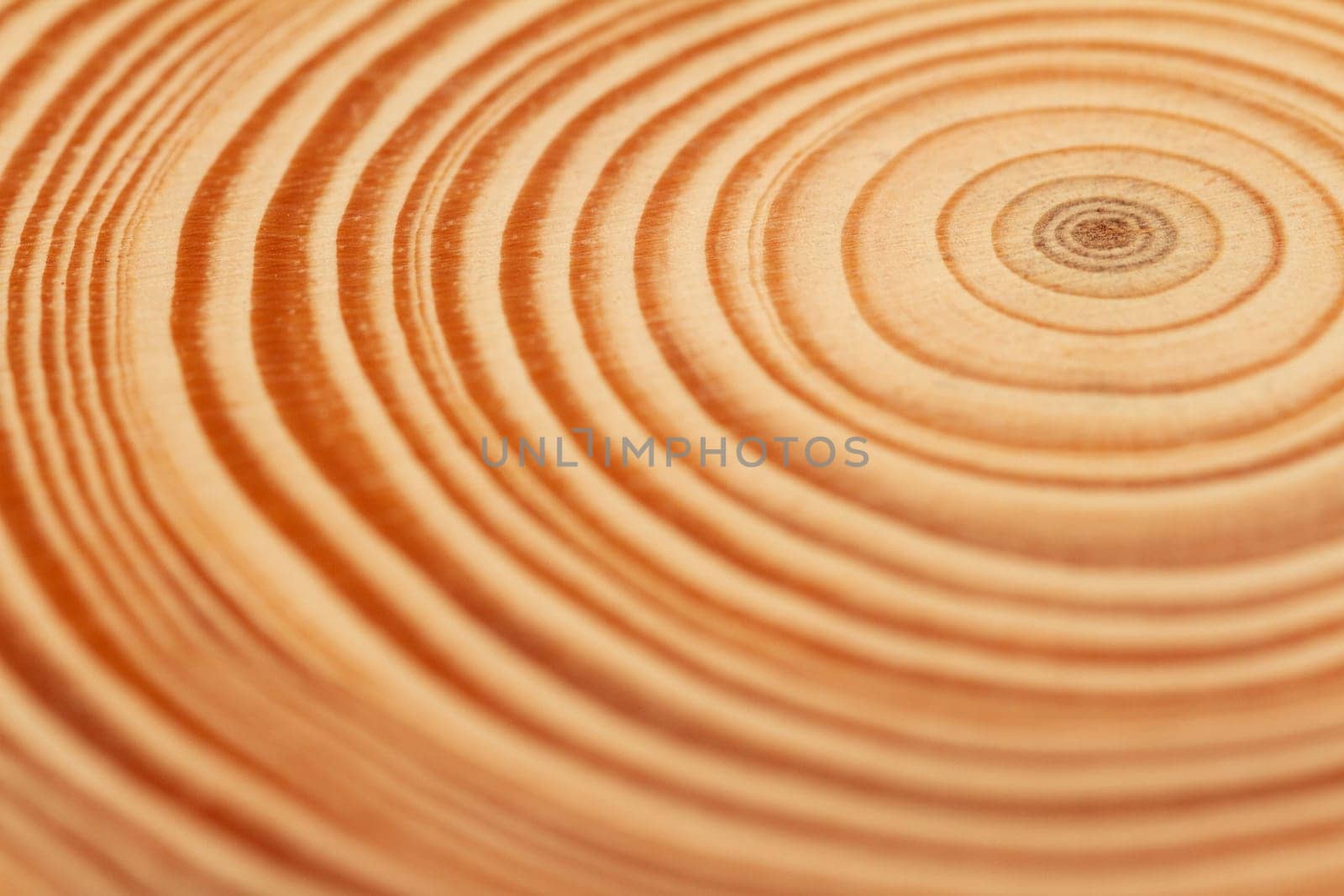 top view closeup of brown slice of freshly cut wood texture with dense concentric growth rings