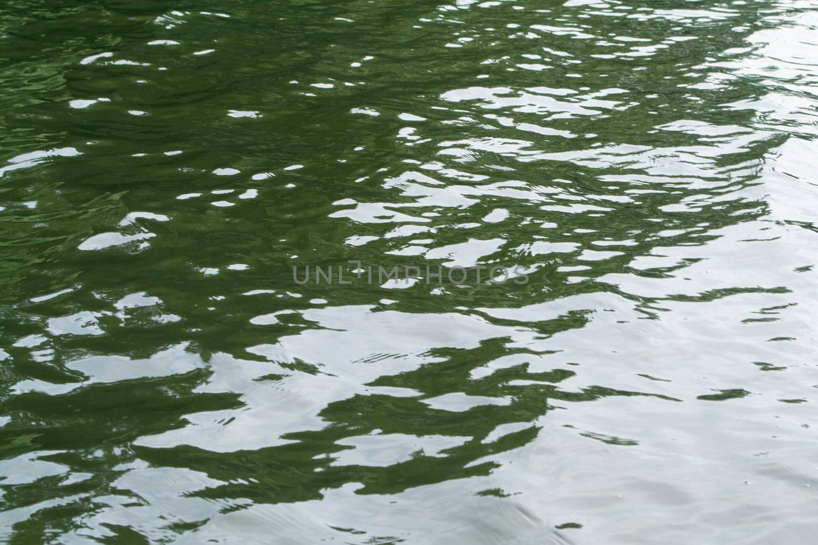 Green water background with sunlight reflection, green water texture
