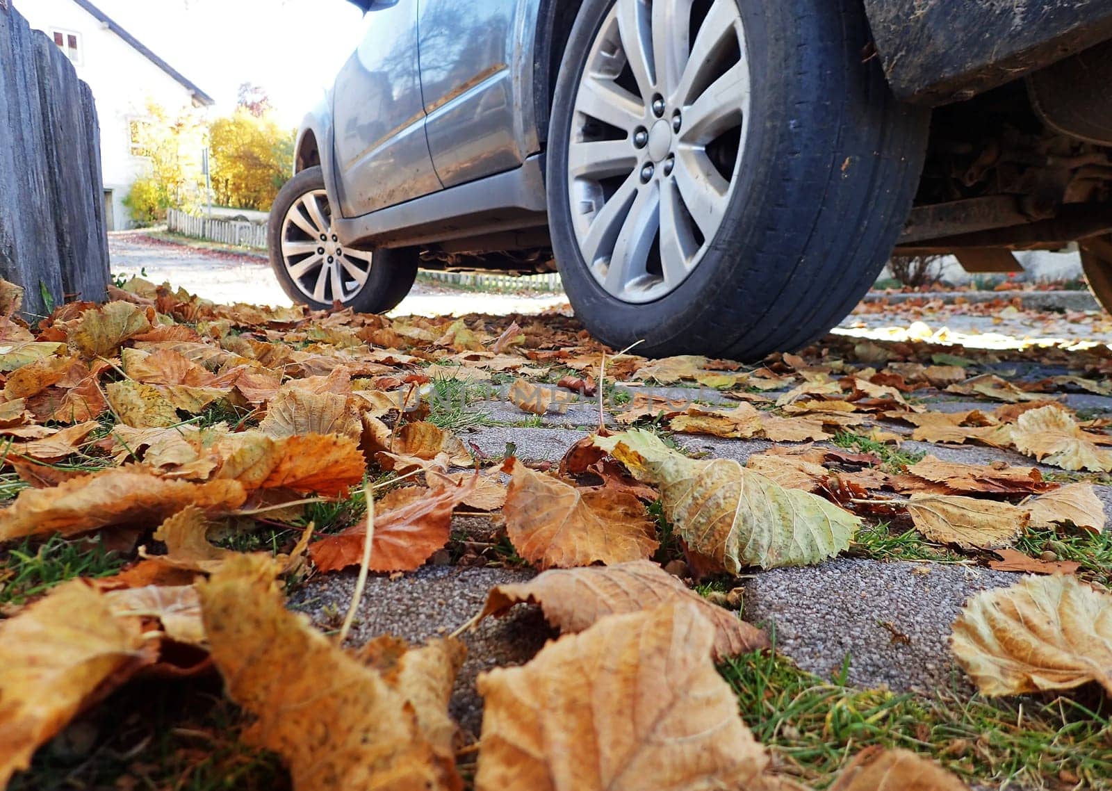 Winter tires in autumn provide safety in wet slippery leaves