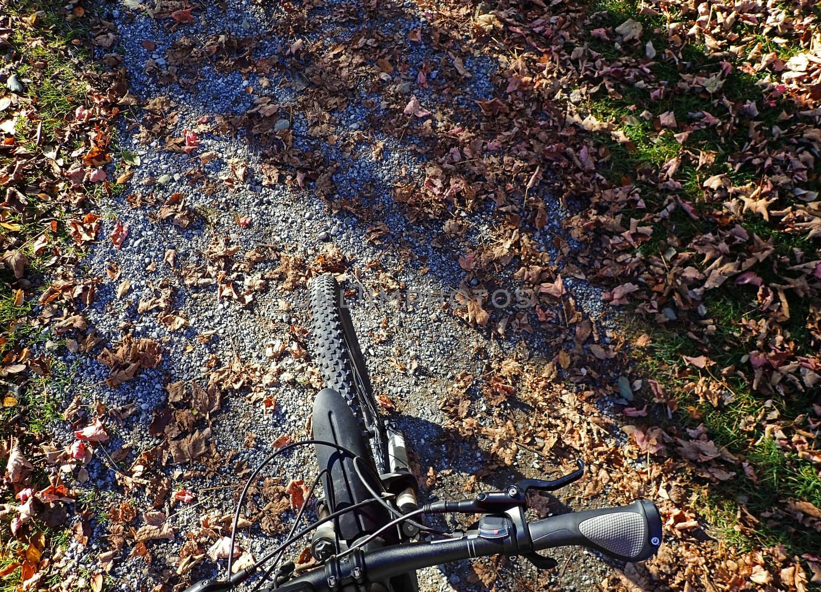 Cycling in autumn. The front wheel of a bicycle on a path with autumn leaves