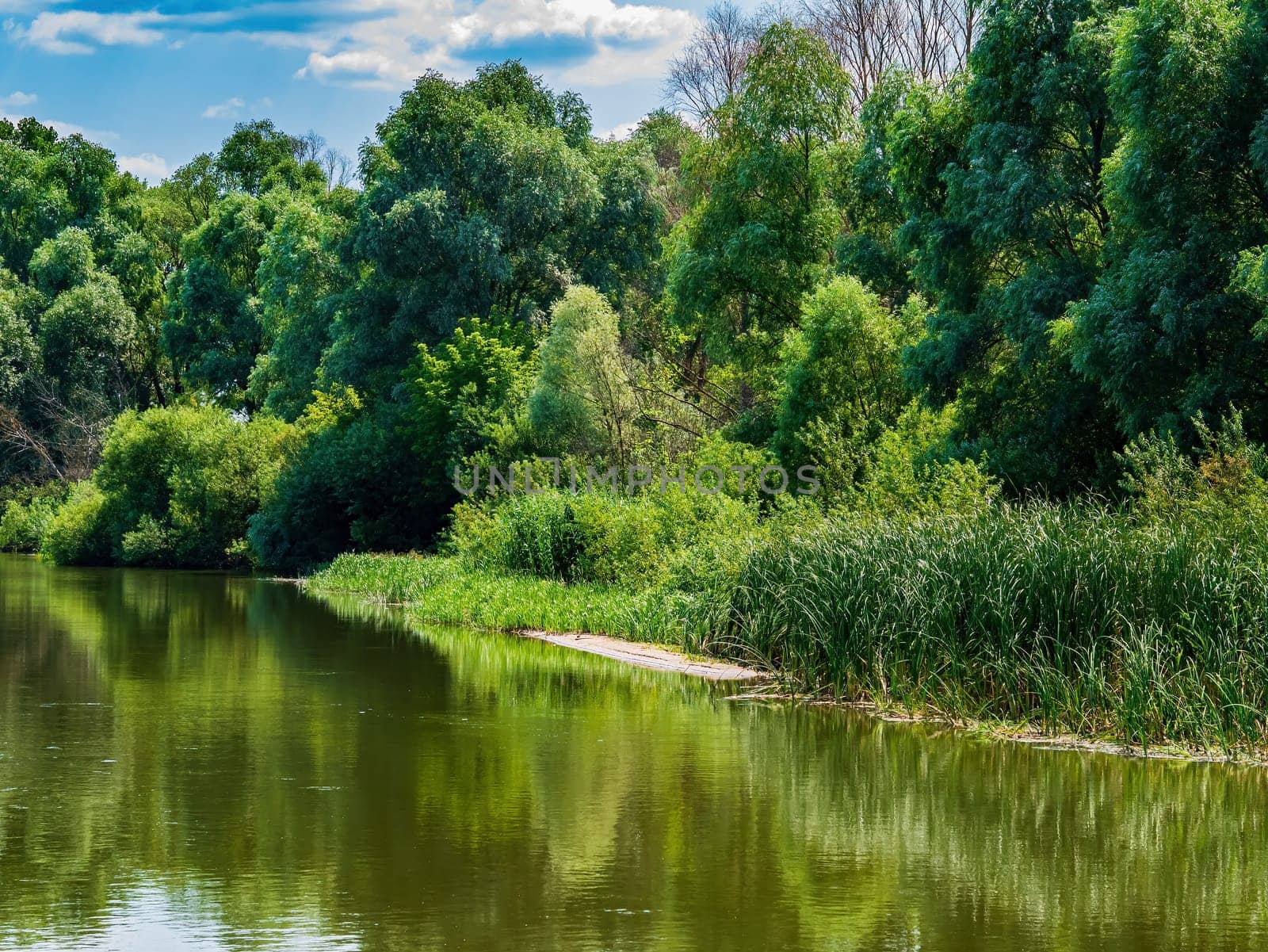 Reflection of trees in the river flow of water. Water surface. Freshwater lakes and rivers. Green leaves of trees. Coastline. Blue sky. White clouds. Natural landscape. Summer sunny day.