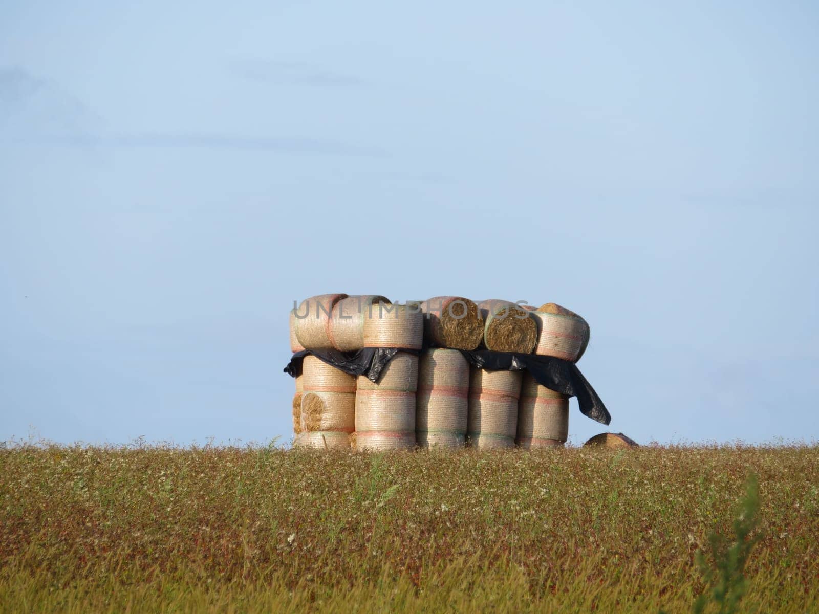 beautiful stacked straw bullets creating an artistic figure in the field