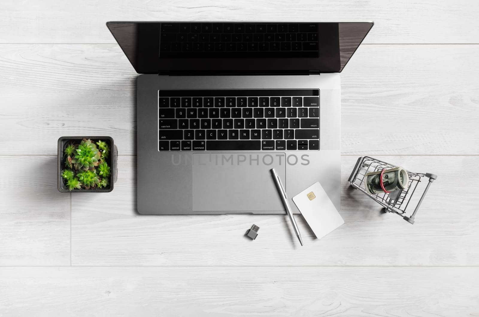 Online shopping concept. Laptop, shopping trolley with dollars, credit card, pen, flash drive and houseplant. Flat lay.