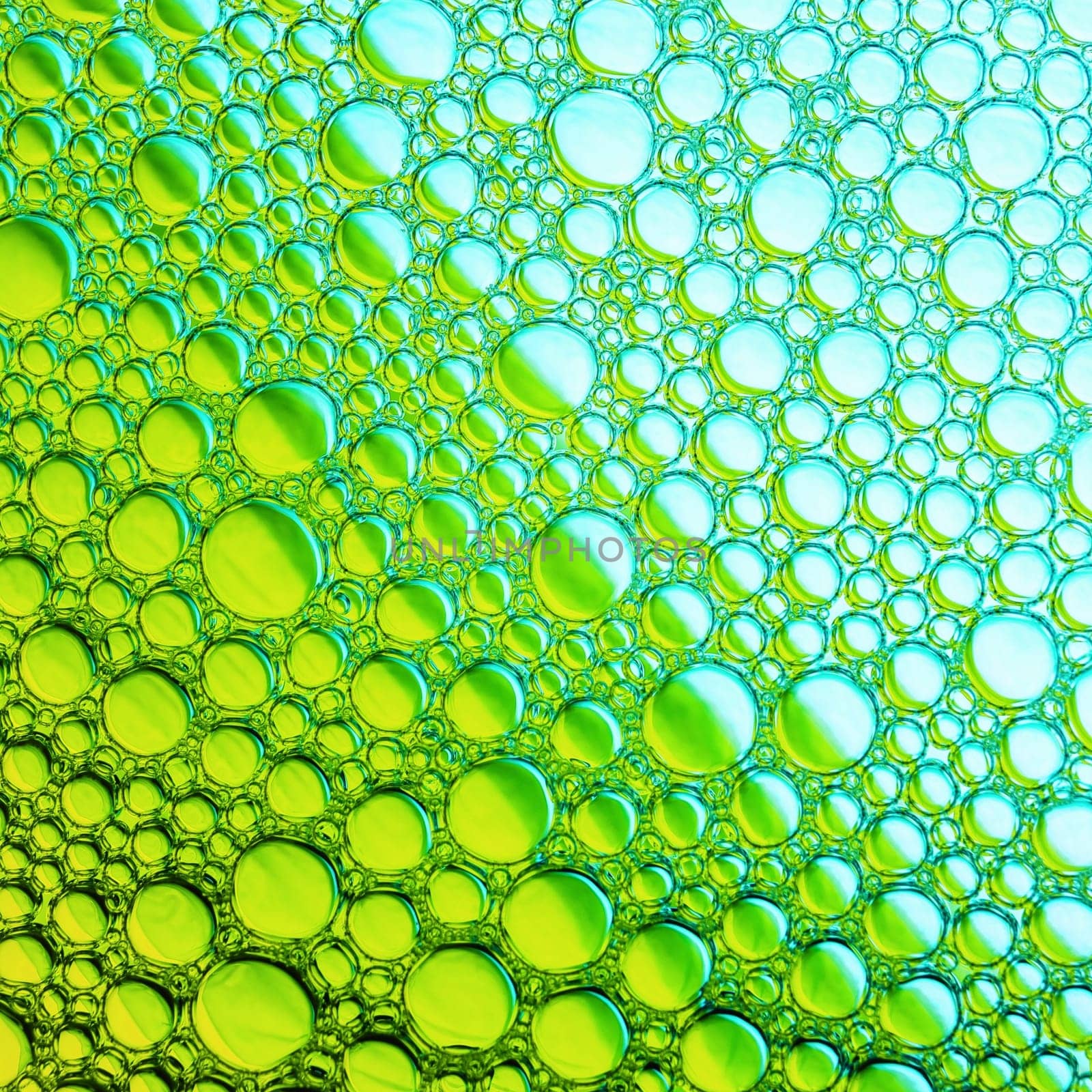 Green bubbles background. Foam bubbles macro texture.