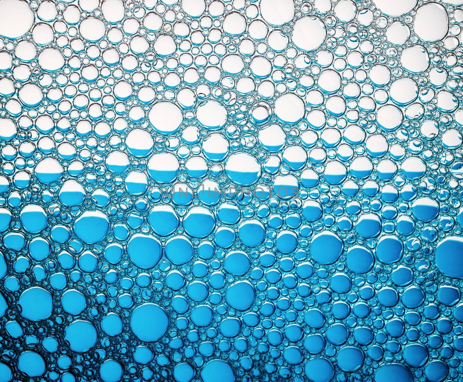 Abstract bubbles texture. Foam bubbles macro background.