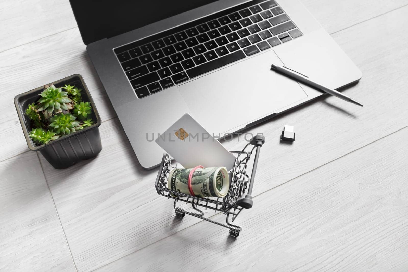 Online shopping concept. Shopping cart with dollars and credit card, laptop keyboard, flash drive, pen and houseplant.