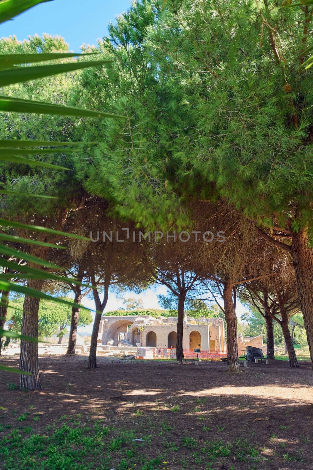 Historic ruins of the thermal baths of Civitavecchia, Italy, hidden among the trees. Perfect for historical and archaeological themes.