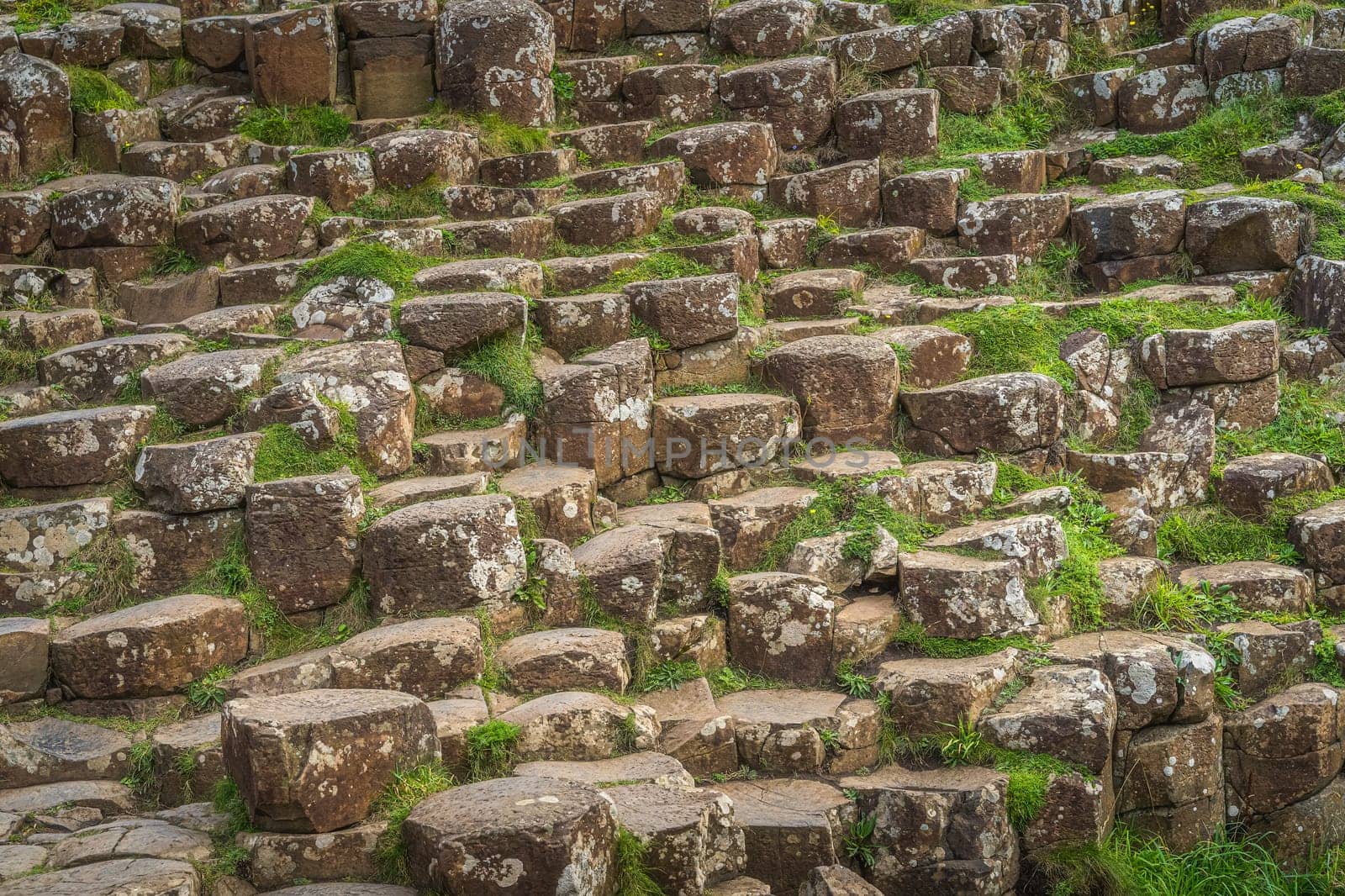 Closeup on hexagonal rock formation, basalt tiles in Giants Causeway, Wild Atlantic Way and UNESCO world heritage, Northern Ireland
