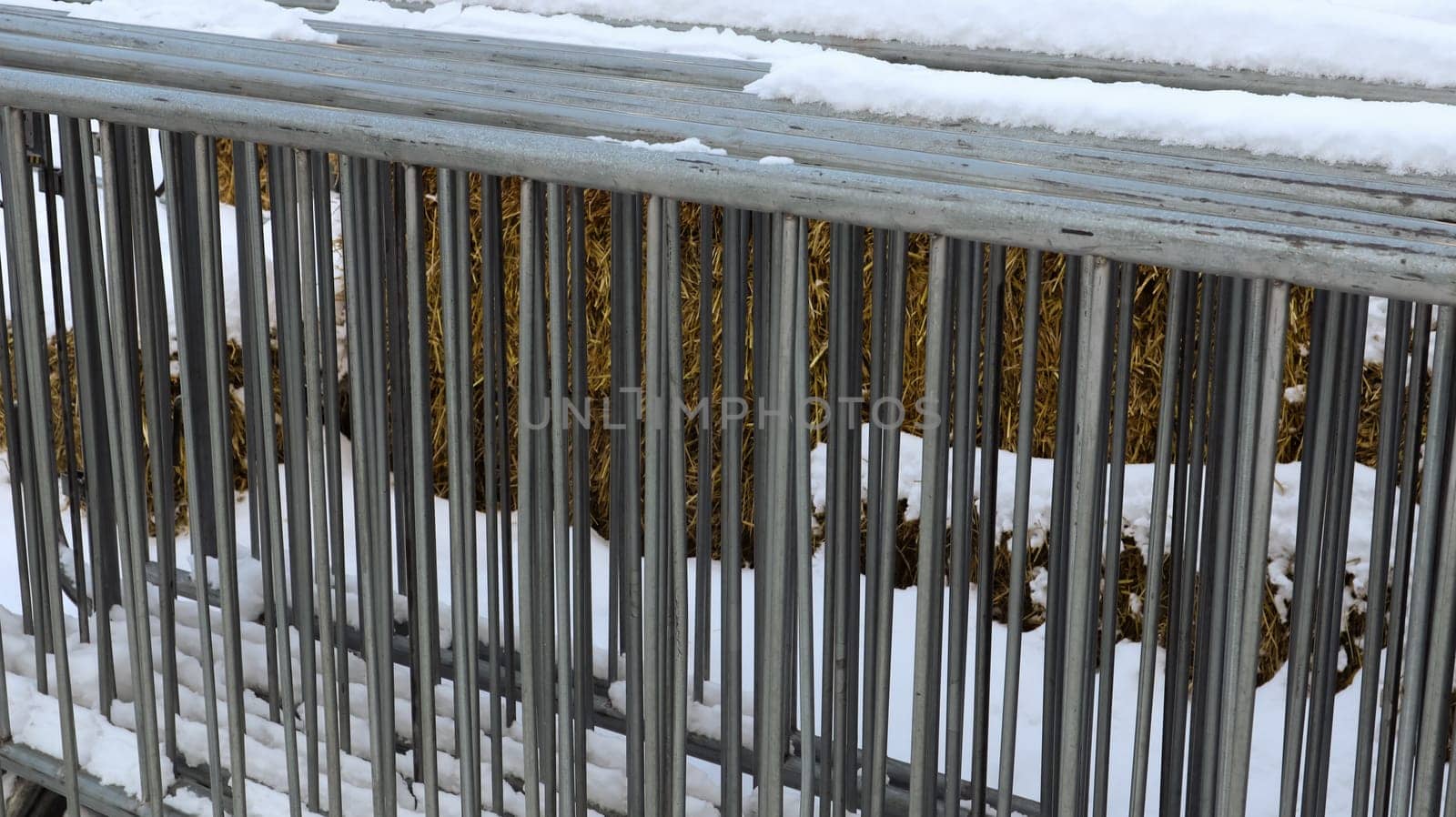 A portable metal event fence is kept in one place at the fair in the snow outdoors in winter. Gray grates for cluttering the area and organizing the queue for the event