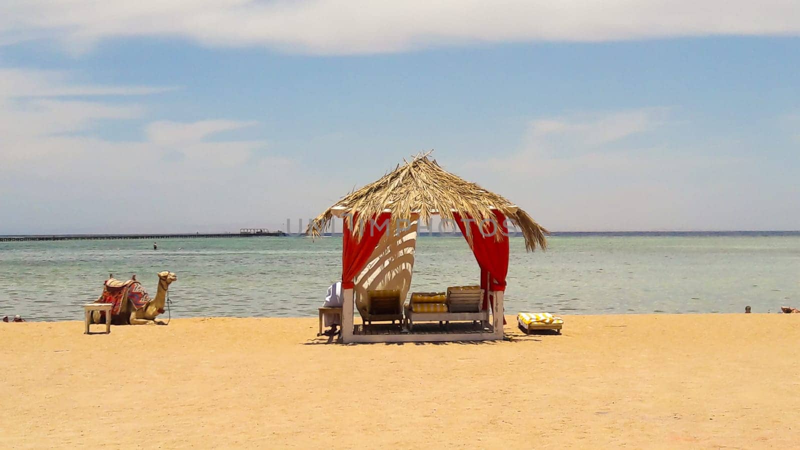 Luxurious Arabian-style straw tents on the Red Sea and camel in the Egyptian resort of Sharm El Sheikh. Summer beach concept, design for relaxation and tranquility