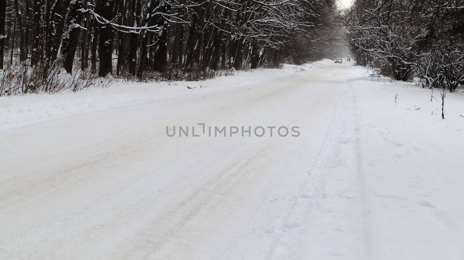 Winter landscape. Snow-covered trail in the city park. Snow covered trees in a winter forest with a road