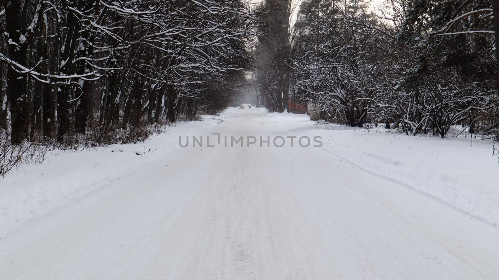 Winter landscape. Snow-covered trail in the city park. Snow covered trees in a winter forest with a road