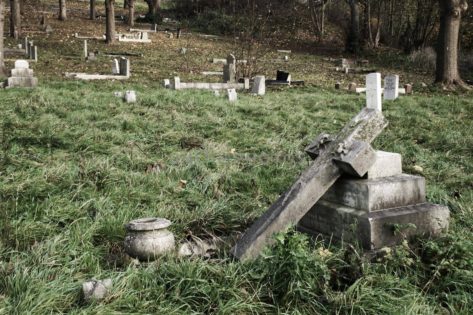 A deserted overgrown graveyard with grey stone headstones