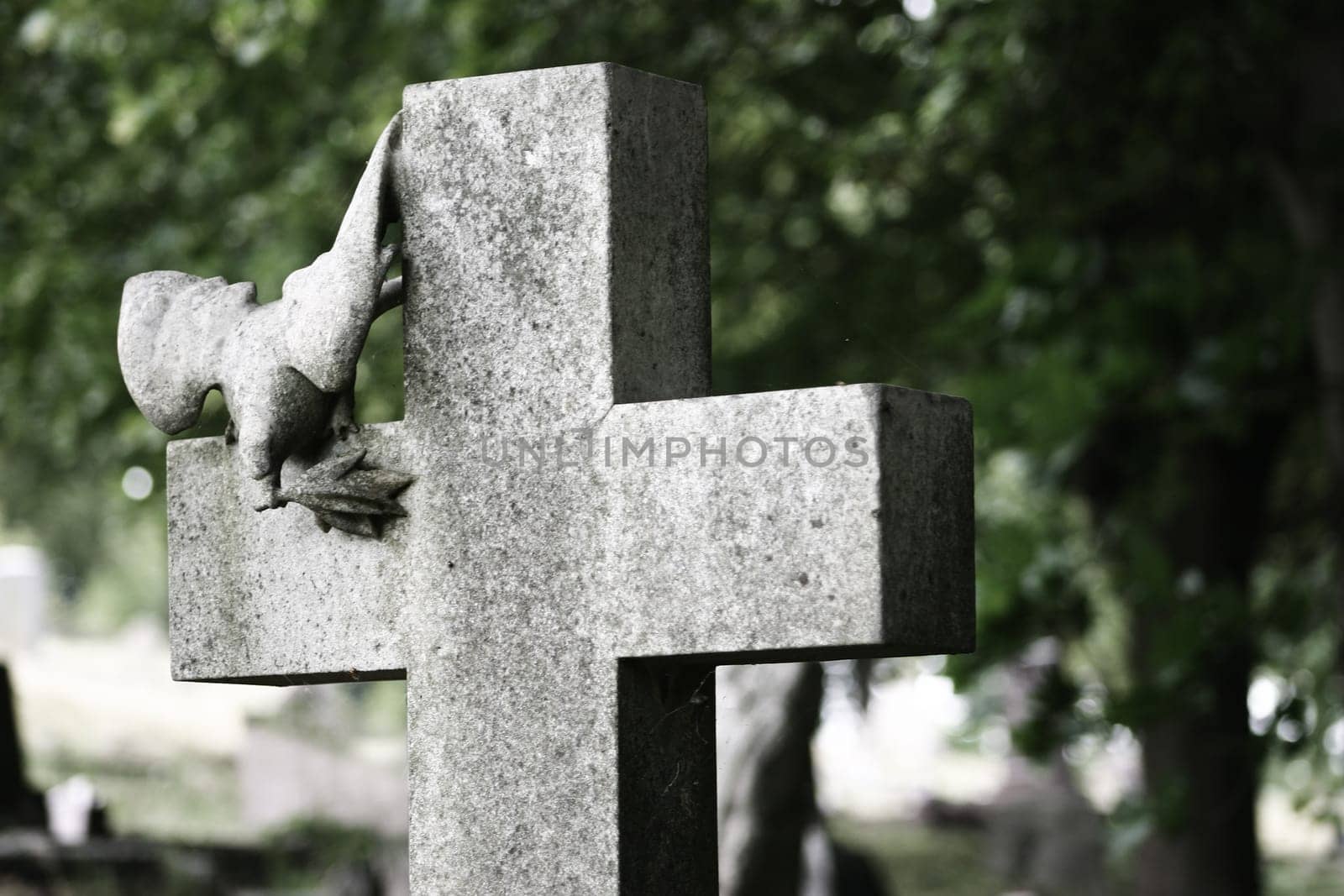 A stone cross with carved peace dove in graveyard