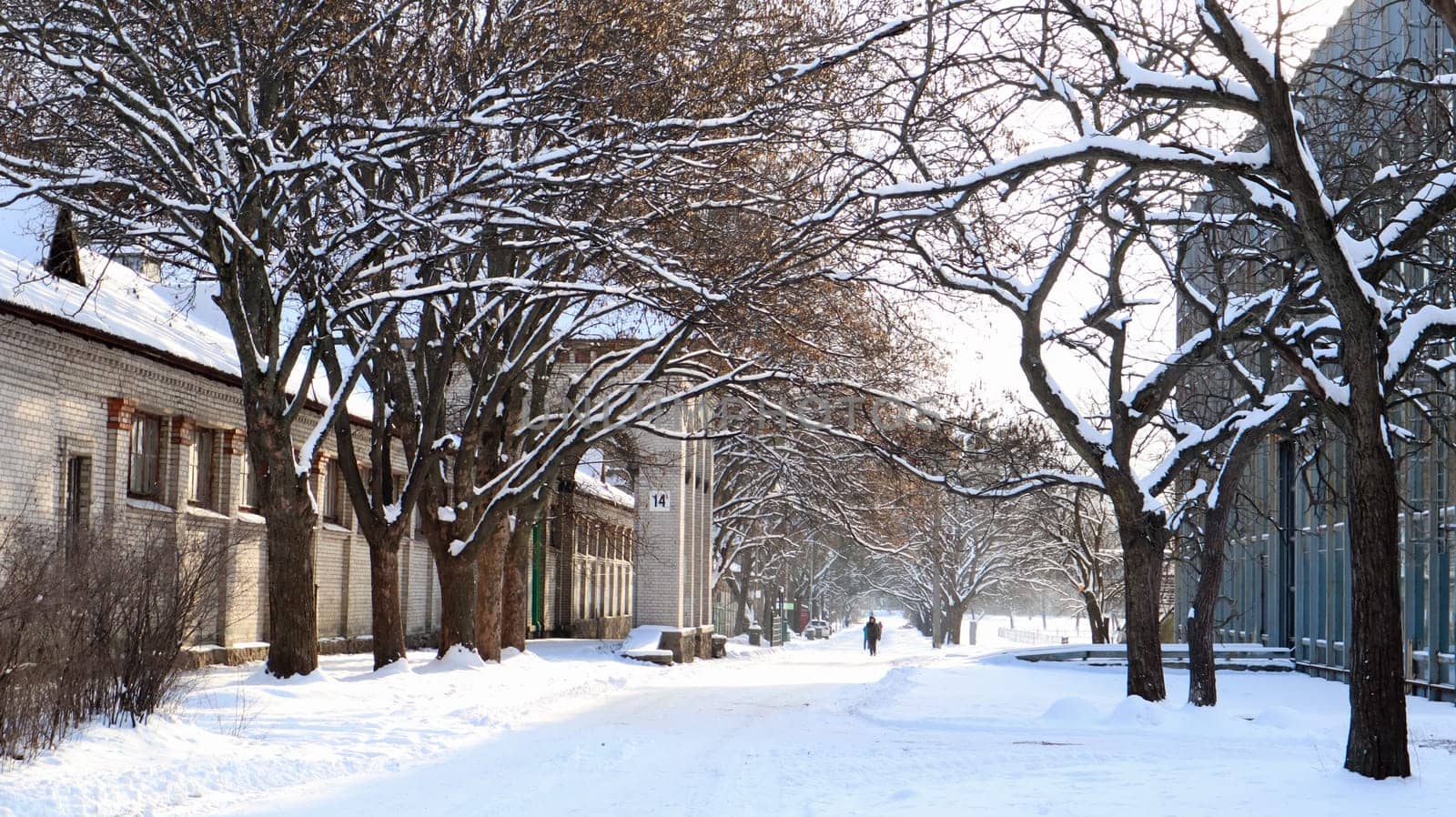 Winter landscape. Snow-covered trail in the city park. Snow covered trees in a winter forest with a road