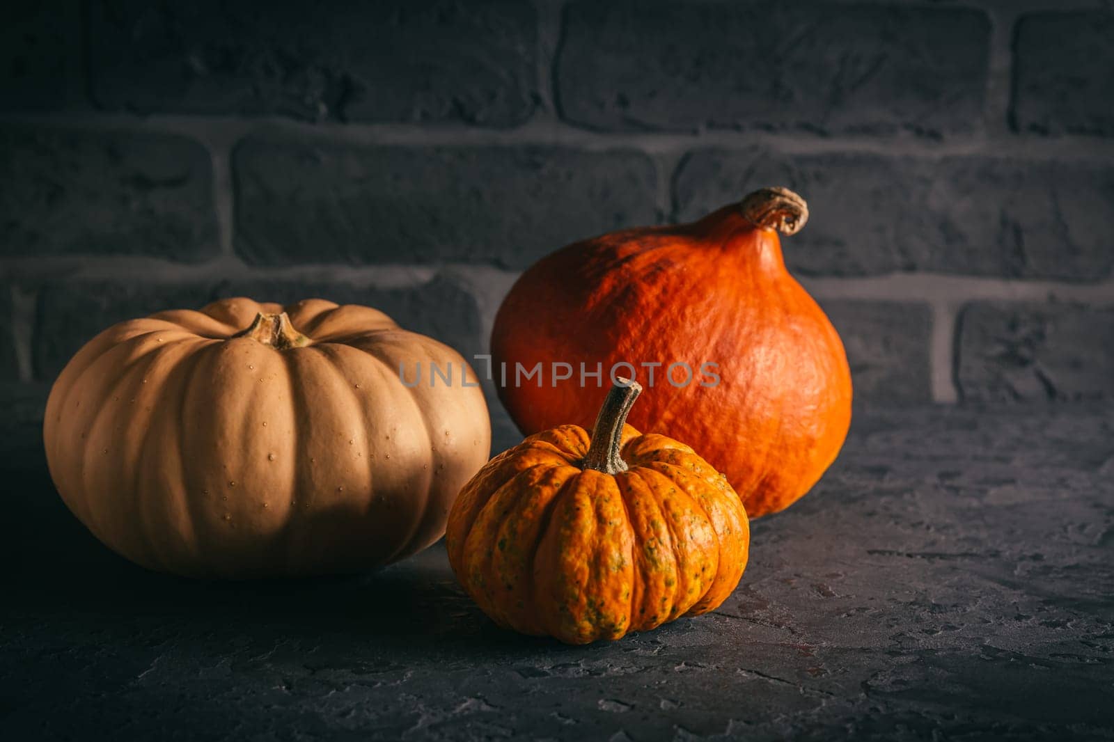 Pumpkins for Thanksgiving on black background on black background