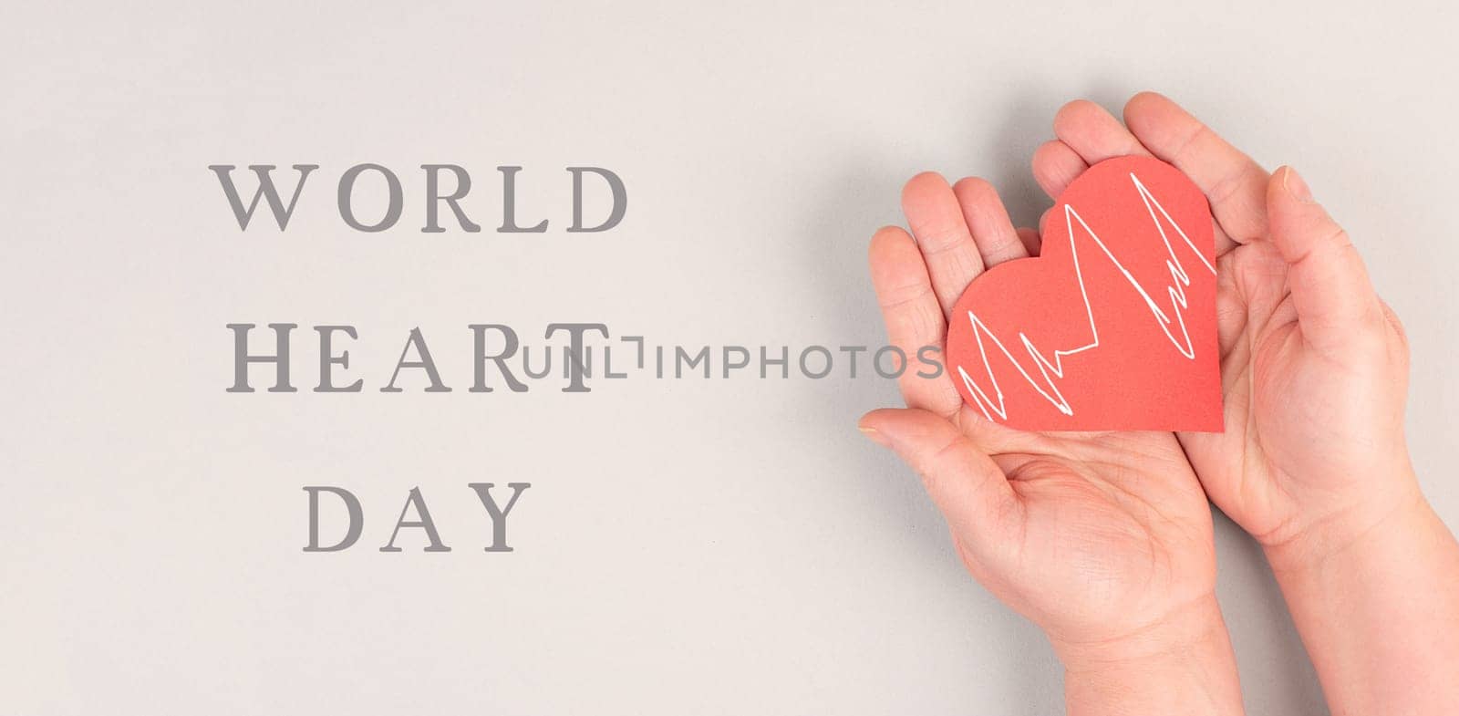 Woman is holding a red heart in her hand, world heart day, grey colored background, heartbeat, health issues