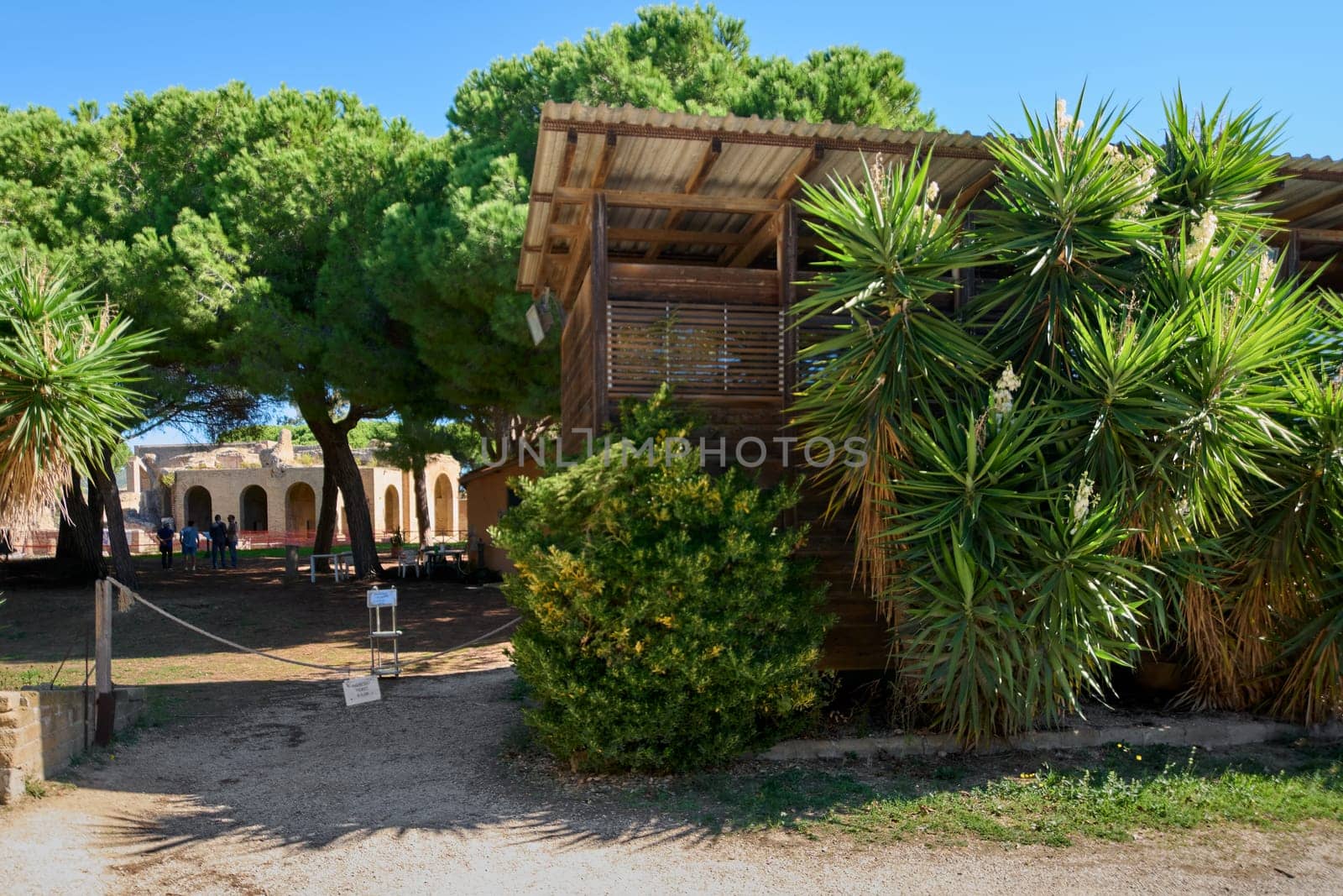 Ancient Roman thermal baths in Civitavecchia, Italy, surrounded by trees and vegetation. A wooden structure adds contrast to the historical ruins. Concept: heritage and nature interaction.