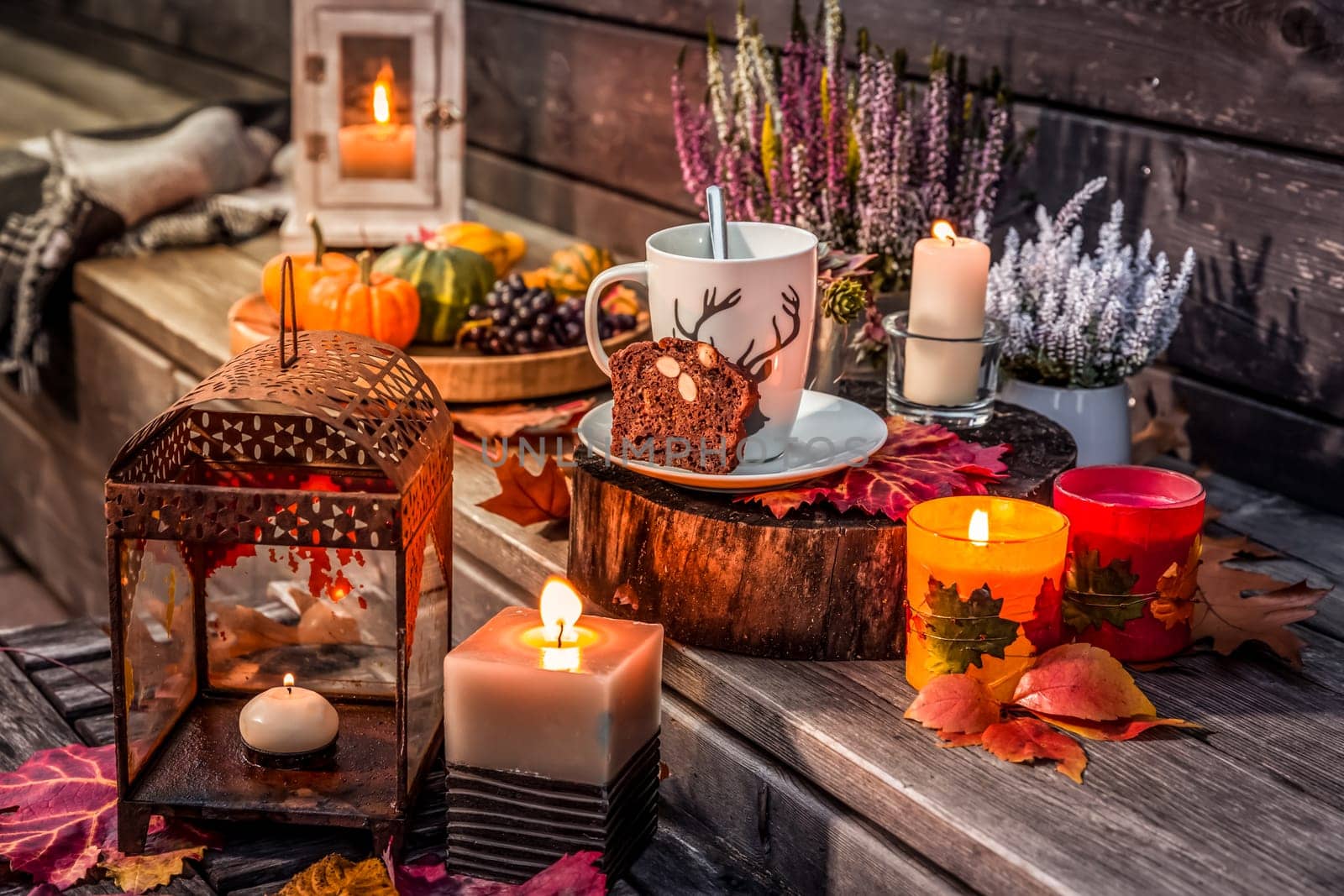 Beautiful autumn terrace decoration with pumpkins, lantern, plants and flowers