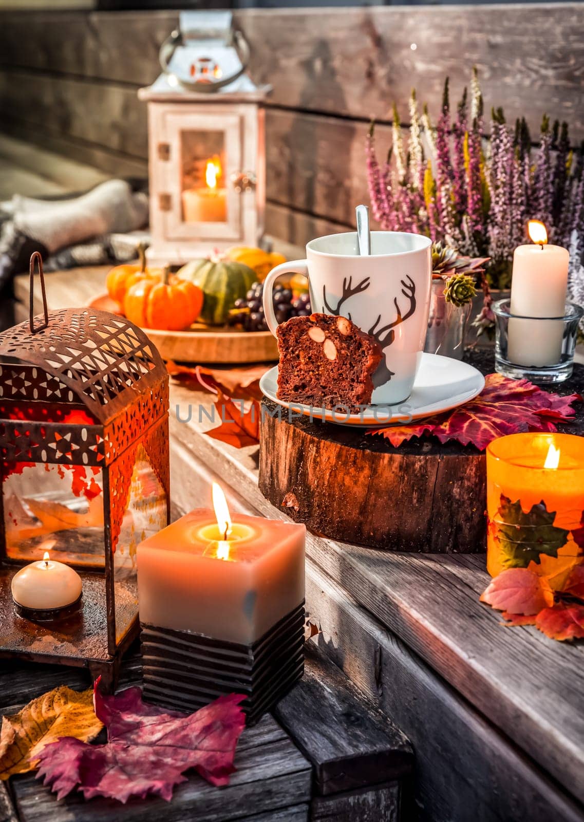 Beautiful autumn terrace decoration with pumpkins, lantern, plants and flowers