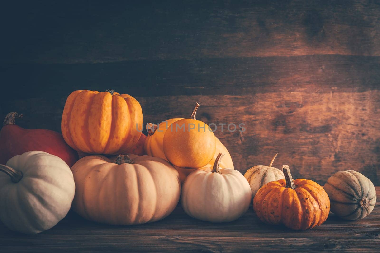 Happy thanksgiving - still life with different pumpkins and autumn leaves on wooden background