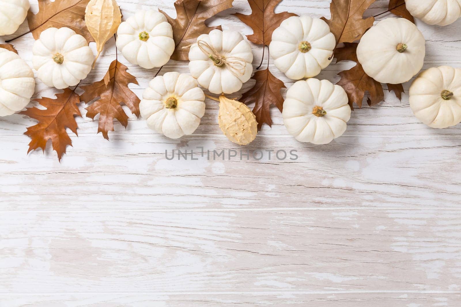 Happy thanksgiving - background with white pumpkins and autumn leaves on white wooden background