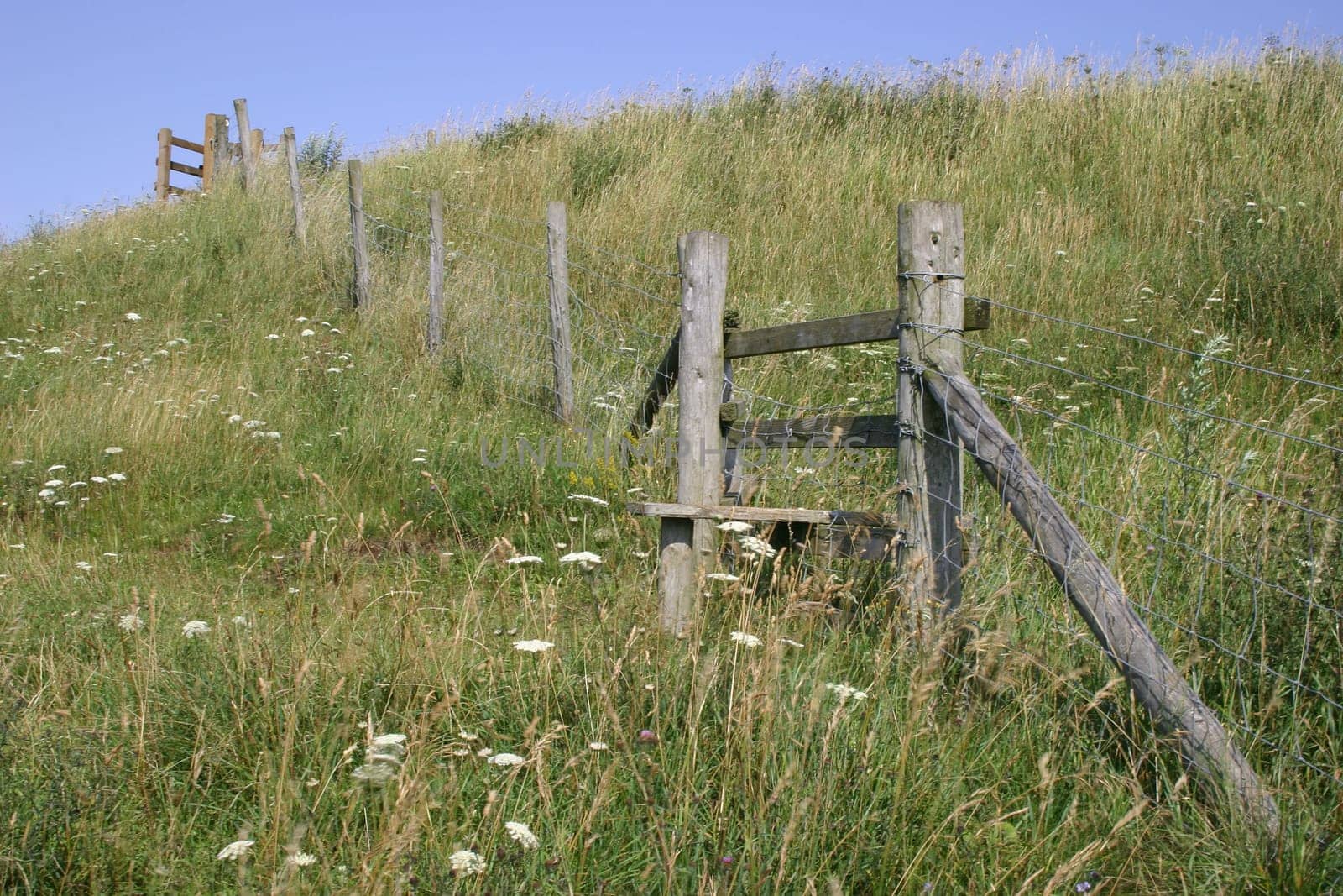 A traditional wood fence style with overgrown grass