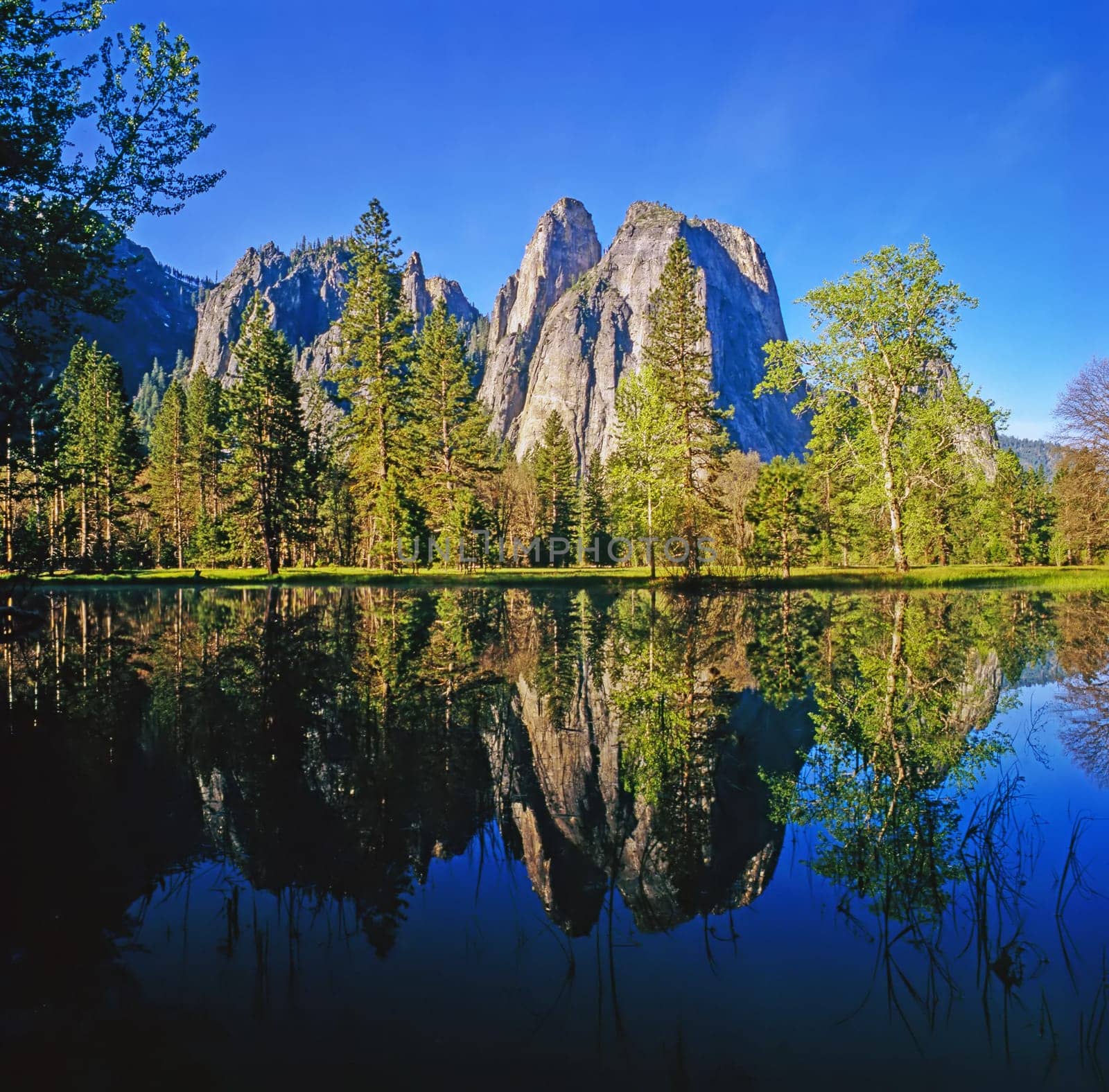Reflection in water in Yosemite National Park, California