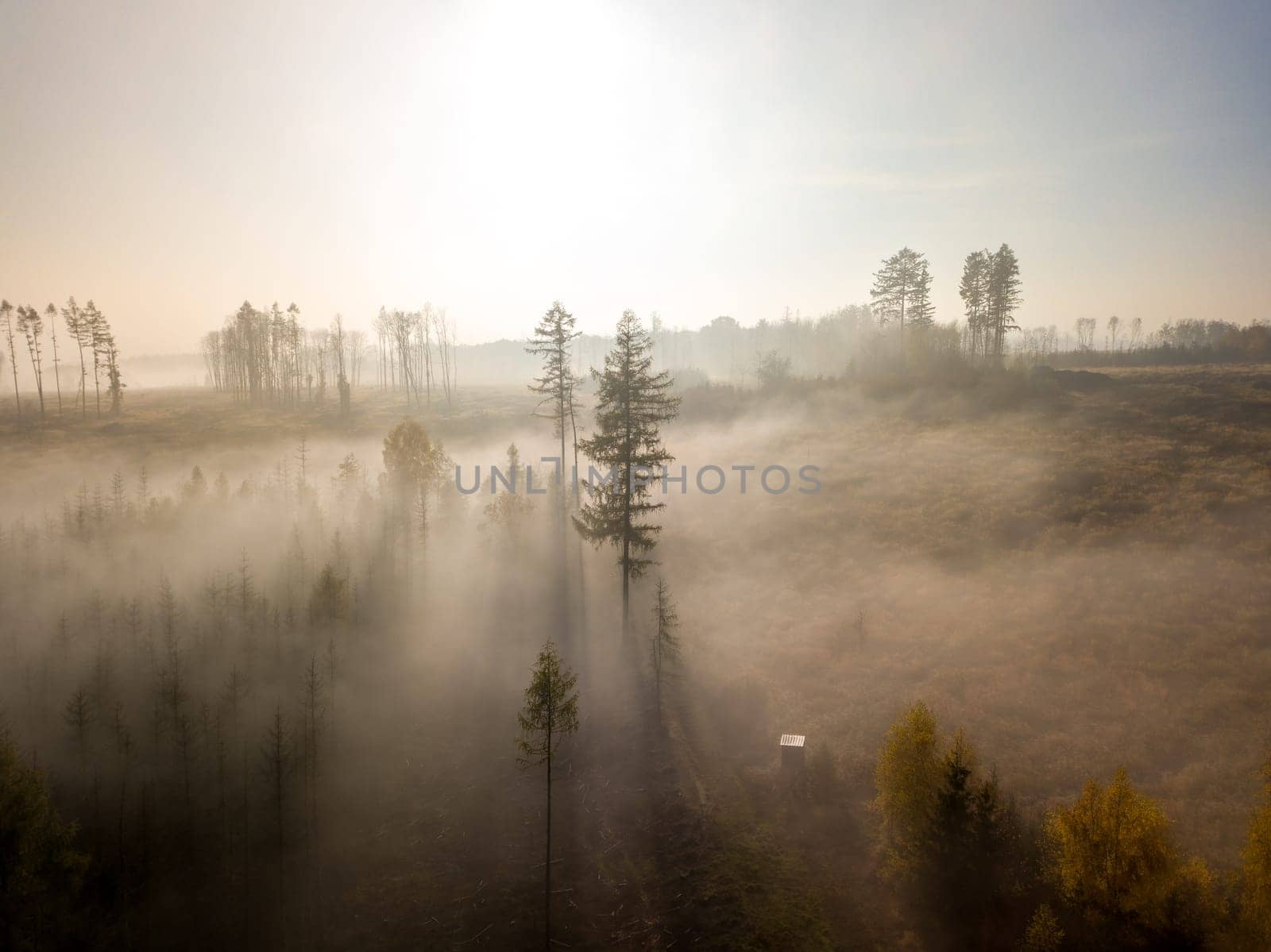 Aerial view of autumn sunrise countryside, traditional fall landscape with rising sun in Central europe. Foggy and misty sunrise. Frozen landscape from bird eye. Czech Republic,Vysocina highland